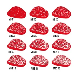 Wagyu MBS Graduering