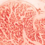 Japansk Wagyu